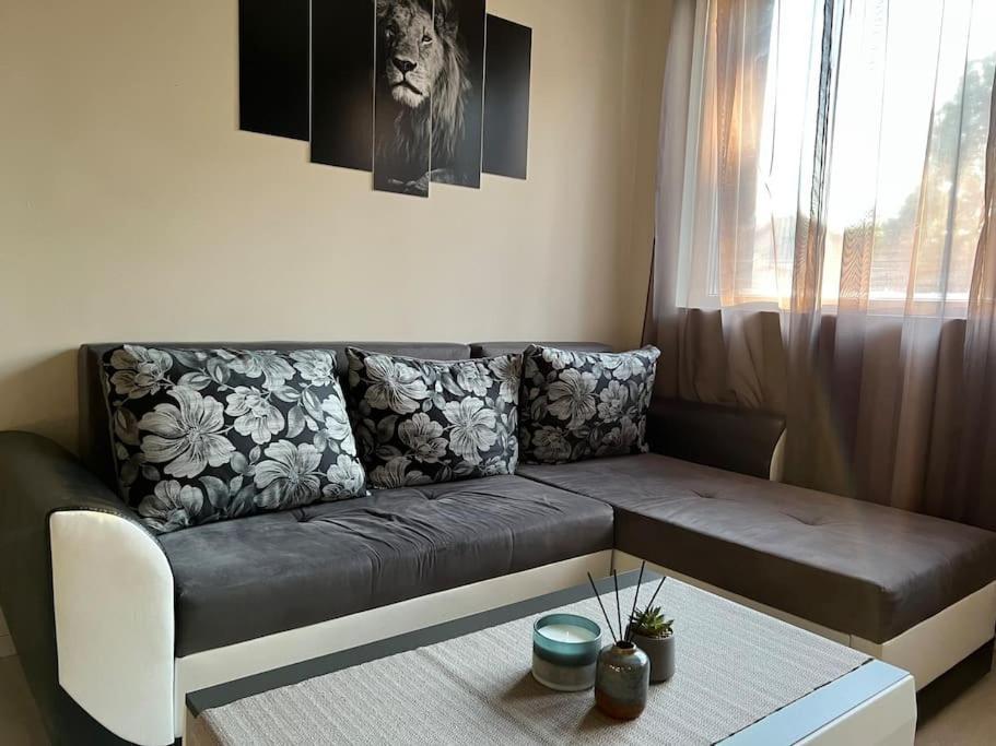 Sof Apartment'S София Екстериор снимка